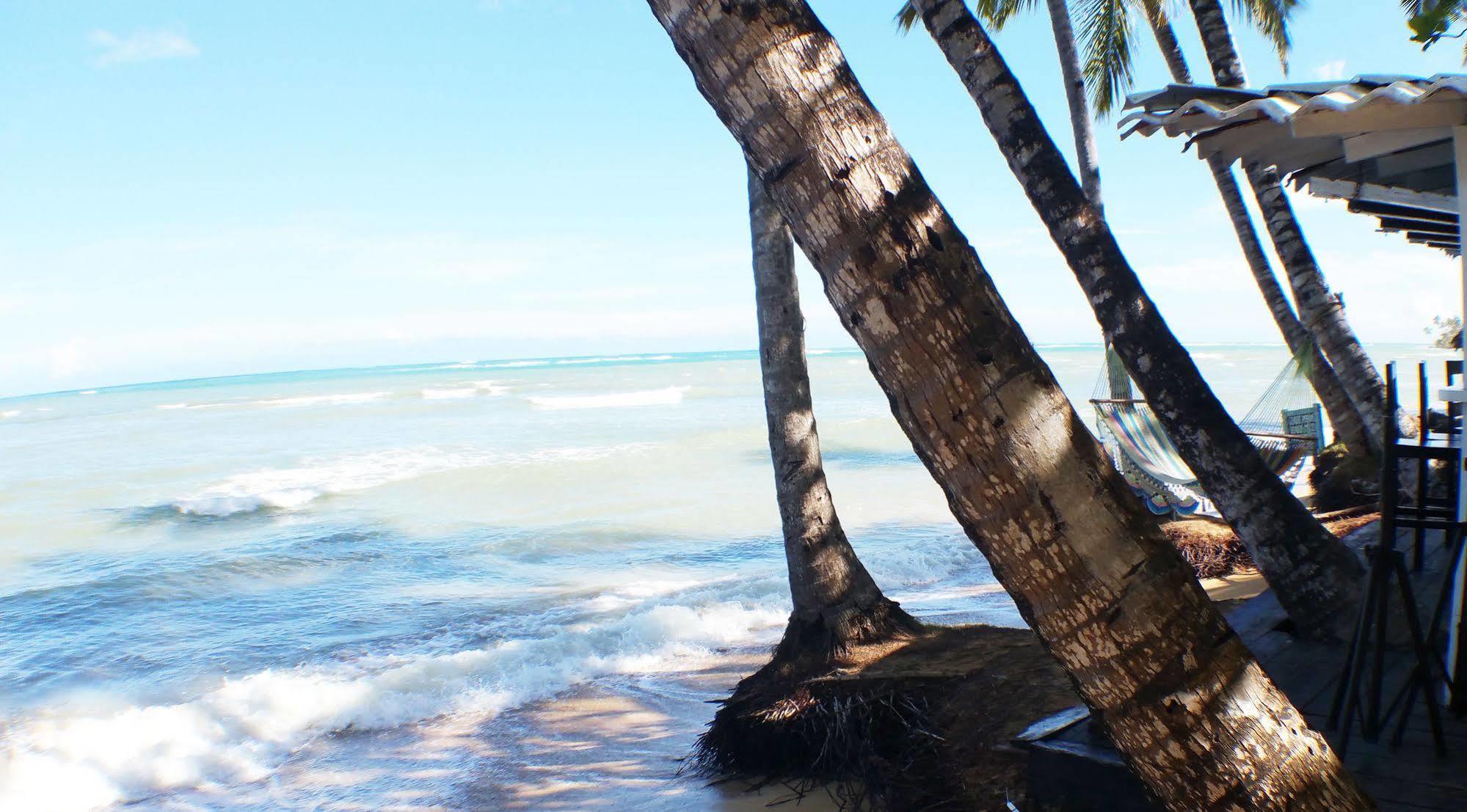 Hotel Los Pinos Las Terrenas Kültér fotó